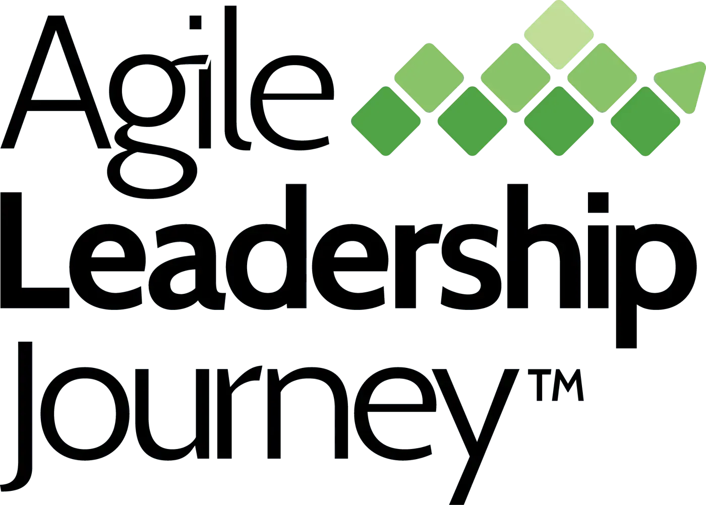 Agile Leadership Journey